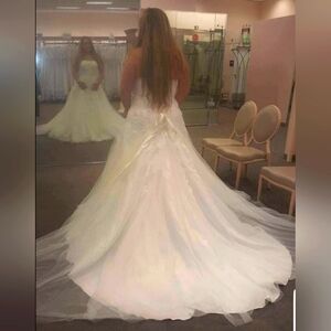 David Brudal Wedding Dress 16w
